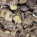 장흥버섯 영농법인 이미지