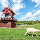 양평목장 이미지