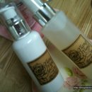 유자약국 이미지