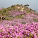 국내 당일치기 여행 합천 황매산 천불천탑 봄나들이 이미지