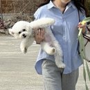 언더아멍 이미지