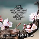 PICTURE&amp;TEXT_20240303_하박국 3장 2b절_의와 자비와 용서를 추구하라_사순절 세 번째 주일 묵상_매화_꽃말_&#39;충실&#39;, 이미지