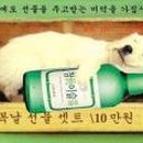 복 Daum카페