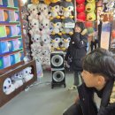 다온합기도&더원주짓수