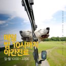 서정동물병원 이미지