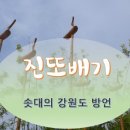 진또배기 이미지