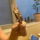 오복마트 이미지