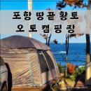황토와소나무 | 포항 바닷가 캠핑장 땅끝황토 오토캠핑장 7번 데크 솔직 후기