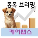 대상의료기산업 | 케어랩스(263700) 전망과 분석 – 디지털 헬스케어·뷰티케어 플랫폼의 수요·수익 구조 해석