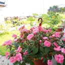 우도고래펜션 이미지