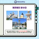 한림성심대학교 이미지
