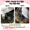 아파트 화장실 욕조 막힘 역류 해결 비용