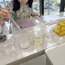 헬로썬샤인학원