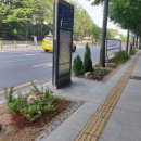 국채보상로 이미지