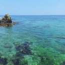 서여치 사진 컨테스트 참가작입니다 이미지