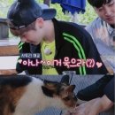 중앙동-18 이미지