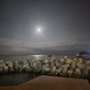 바다풍경펜션도시어부 이미지