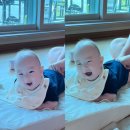 S012 | 여름 여행에도 &#39;하기스맥스드라이&#39;와 함께! / 맥썸매니아 마지막 이야기 with 맥썸키트