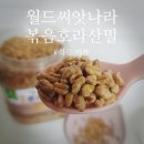 월드씨앗건강 이미지