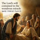 163 D. 사도행전 9 : 32-43 놀라운 기적에 담긴 주님의 뜻 20260612 이미지