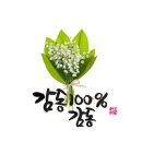 드럼포유 이미지