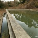 한경면 청수물마을 이미지