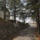 광신상회 이미지