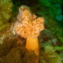 남해-311 이미지