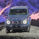 디스트릭트1979 이미지