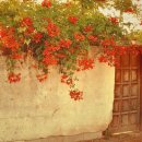 개과천선 이미지