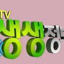 바모스크리에이터