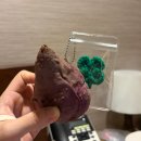 은혜 산후조리원 | [은평 더은혜 산후조리원] 2주 동안 느낀 장단점 솔직 후기✨(시설, 가격 총 정리)