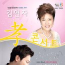 김연자 콘서트 이미지