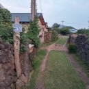 하도조아 이미지