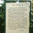 마리아A+ 이미지