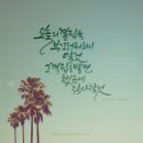 감성 붓펜 캘리그라피 이미지