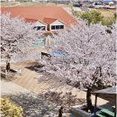 이색디자인 이미지