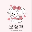 뽀얗개