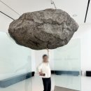 모노라마 | 화담숲 실시간 단풍 상황 화담채 모노레일 후기