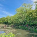 무심교옆 이미지