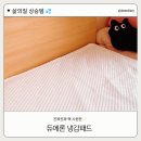 듀에듀에 | 듀에론 냉감패드 여름 매트리스 후기 ㅣ 냉감패드 구매처 ㅣ 핵꿀템