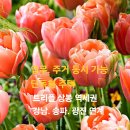 개인공간 이미지