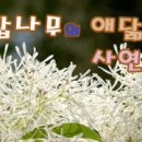 야후부동산중개 이미지