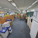 세탁본부 | 사무실 카펫(카페트) 청소 전·중·후 현장 그대로 공개! 트램도시 대전 본부 정기 카펫청소 작업 후기