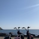 노이민박