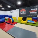 부천 임용 기계체조 전문! 핸드스프링 배우기! 인천 부평 상동 아크로바틱 수업 영상! 김포 노량진 임용체조 이미지