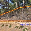 충남조경 Daum카페