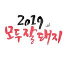 잘돼지 이미지