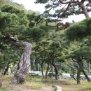 거북농장 이미지