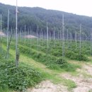 정경농장 이미지